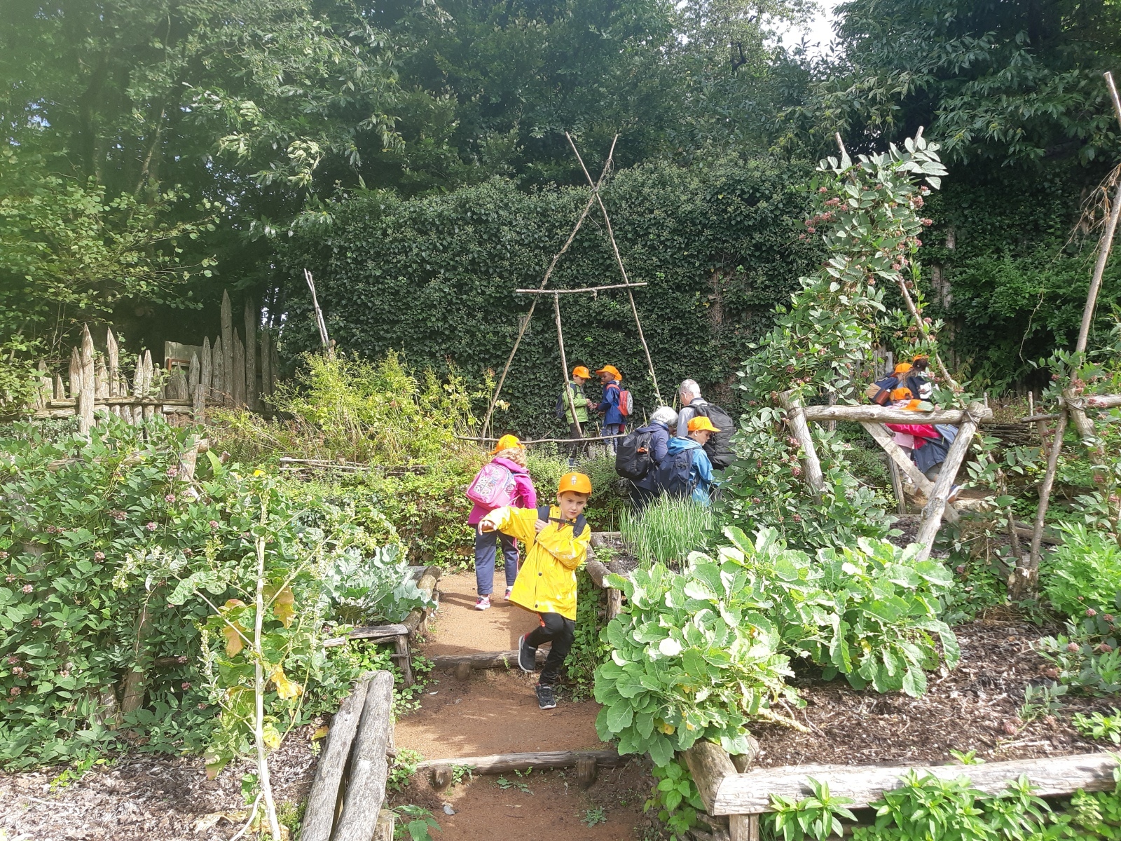 20250912_114547 20250912_114547