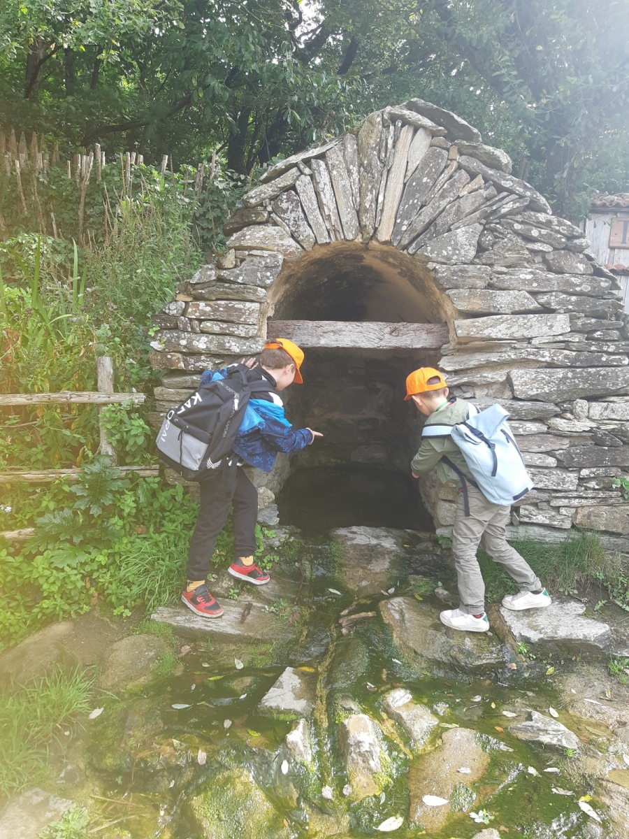 20250912_114553 20250912_114553